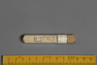 F 07451
<br/>
<br/>
<em></em>